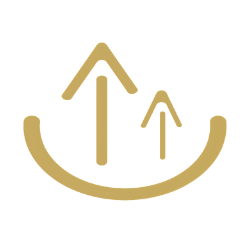Charmlink Electronics (shenzhen) Co., Ltd. logo