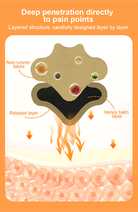 แผ่นแปะสมุนไพรบรรเทาอาการปวดหลังและอาการชา - Product Image 6