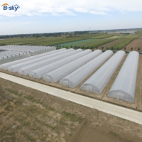 Serre tunnel commerciale pour la production de tomates, fraises et légumes