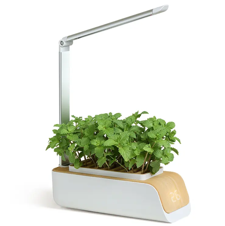 Thuis Slimme Tuinieren Indoor Groenteteelt Systeem Kit Houten Tafel Hydrocultuur Tuin Met Led-verlichting