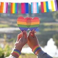 Vente en gros de nouveaux drapeaux arc-en-ciel pour la fierté gay, lesbienne, pansexuelle et bisexuelle, drapeau en guirlande, drapeau LGBTQ élaboré, décoration