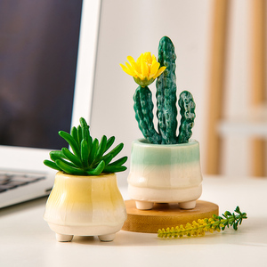 Jolies mini-pots de fleurs en céramique, accessoires de <span class=keywords><strong>jardin</strong></span>, décoration de chambre kawaii, accessoires de bureau, pots de fleurs, cadeaux en pot - Product Image 4