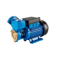 Pompe à eau automatique auto-amorçante périphérique WZ ELESTAR pour machine à laver, moteur électrique haute puissance longue portée 110V 220V 240V
