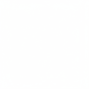 Luci Posteriori a LED CALAVERA per VW Tiguan 12-18, Lente Rossa 12V, Sistema di Illuminazione Auto Aggiornato - Product Image 1