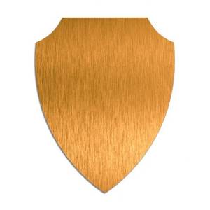 Plaque en plastique dorée 180x144 mm pour sublimation, idéale pour les récompenses - Product Image 1