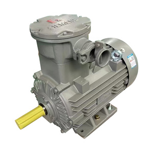 มอเตอร์ไฟฟ้ากระแสสลับแบบอะซิงโครนัสสามเฟส Innomotics 1MB0063 2.2KW~200KW 750Rpm ป้องกันการระเบิด 380V/660V IC411 IE3 50Hz - Product Image 2