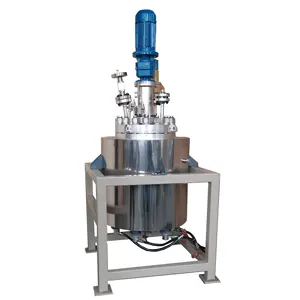 China CE professional factory WHGCM New Hot Sale 20L laboratory stirred high pressure hydrothermal autoclave Reactor Tank Kettle