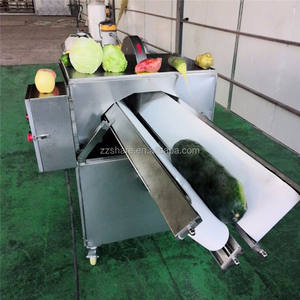 เครื่องตัดกะหล่ำปลีจีนแบบครึ่งอัตโนมัติ เครื่องตัดฟักทอง - Product Image 5