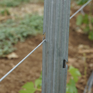 Poste en U <span class=keywords><strong>de</strong></span> Acero Galvanizado para Entutorado <span class=keywords><strong>de</strong></span> Viñedos y Vides con Poste Final a Buen <span class=keywords><strong>Precio</strong></span> - Product Image 2