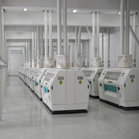 Machine à moudre le maïs avancée à vente chaude, usine de mouture de farine de 100 TPD