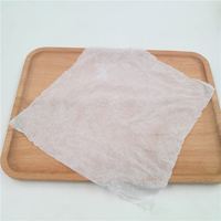 2024 Offre Spéciale Capsule de tissu compressé pousser magique tissus humides serviettes humides magiques propre serviette humide magique