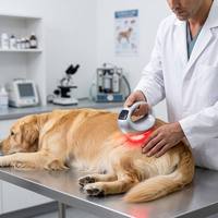 Thérapie laser avancée à 4 longueurs d'onde pour animaux 650 808 940 1064 nm pour la restauration des tissus profonds et la réparation des plaies