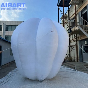Modèle gonflable géant en tissu Oxford sur mesure, ballon d'<span class=keywords><strong>air</strong></span> chaud géant gonflable pour la publicité - Product Image 5