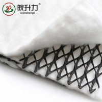 Géogrille de drainage composite 3D en HDPE certifiée ISO pour la base de route et l'empêchement de l'infiltration d'eau capillaire