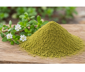 Poudre de Brahmi de qualité alimentaire verte, moulue finement, naturelle, pour les boissons à base de plantes, les smoothies, la cuisine et la pâtisserie - Product Image 1