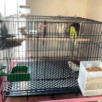 Nouvelles cages à oiseaux rectangulaires en fil de fer Chuangduo, durables et faciles à nettoyer, pour canaris et oiseaux d'amour, 58*40*45.5cm, garantie 1 an