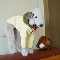 Vêtements pour animaux de compagnie à deux pattes avec fermeture éclair toutes saisons, vente en gros, logo personnalisé OEM ODM, couche d'air respirante, super doux, sweat à capuche patchwork pour chien