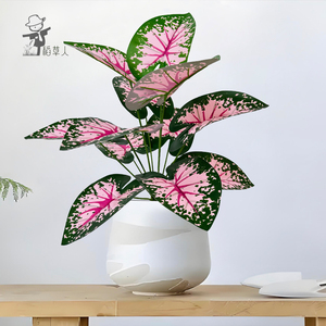 Planta <span class=keywords><strong>Artificial</strong></span> Decorativa de Plástico Verde, Colorida, en Maceta, para Interiores/Exteriores, Alta Simulación, Navidad, Pascua, Sala de Estar - Product Image 2