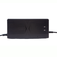Chargeur de batterie au lithium pour voiture de haute qualité 67.2V5A 71.4V5A 69.35V5A 73V5A Fonction PD