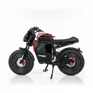 Motocicleta Eléctrica Todoterreno con Motor de 1000W, Neumáticos Anchos, Bicicleta Eléctrica de Cross, Bicicleta Eléctrica Todoterreno - Product Image 1