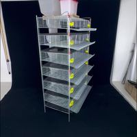 Cage à cailles à 5 niveaux, nettoyage automatique du fumier, cage à cailles verticale, cage à perdrix surélevée, cage d'élevage pour petits oiseaux