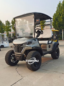 China High Quality New/<strong>Second</strong> <strong>Hand</strong> Electric <strong>Golf</strong> <strong>Cart</strong> 2 4 Seater Small Electric <strong>Golf</strong> <strong>Cart</strong> for Sale - Product Image 4