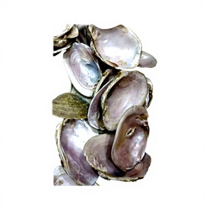 Nouveauté Pierres naturelles de nacre certifiées IGI pour les tenues de soirée - Product Image 1