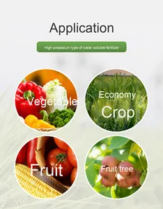 Nitơ phốt pho kali 10-45-11 bột phân bón hòa tan trong nước cho hoa có chứa nguyên tố vi lượng phốt phát - Product Image 4