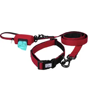 Customized Manufacturer Wholesale Outdoor Oxford Fabric Durable And Comfortable Adjustable Multi Color Dog Collar And Leash