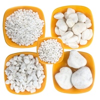 Décoration Naturelle : Galets Blancs pour Jardin, Petites Pierres Blanches pour Aquarium, Galets Décoratifs
