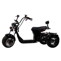 Triciclo Eléctrico Loyal de 3 Ruedas, Motocicleta Eléctrica de 3 Ruedas y Bicicleta Eléctrica de 3 Ruedas, Triciclo de 4000w, Bicicleta Eléctrica Citycoco de 3000w