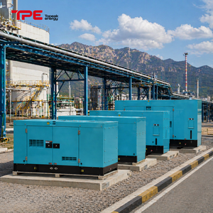 TPE-300PS All Weather Design 24/7 Operation Ready Low Consumption Voltage <b>Generator</b> for Construction TPE-300PS TPE-300PS Stable - Product Image 5