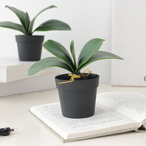 Venta caliente Planta Artificial Mariposa Orquídea Hojas <span class=keywords><strong>de</strong></span> árboles artificiales para <span class=keywords><strong>la</strong></span> decoración del hogar Jardinería Accesorios <span class=keywords><strong>DE</strong></span> PAISAJE - Product Image 3