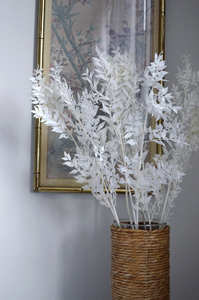 Ruscus Italiano Preservato, Fiore d'Argento Eterno, <span class=keywords><strong>Fiori</strong></span> di Ruscus Essiccati e Conservati - Product Image 5