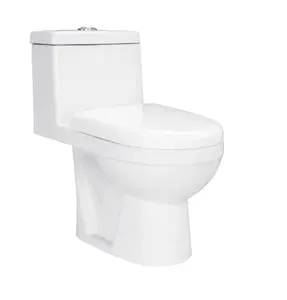 Lory cina fornitore sanitari S-trap 300mm bianco lavaggio giù water closet per il bagno