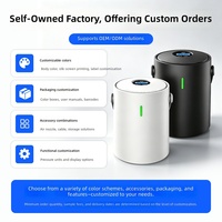 Compresseur d'air numérique portable sans fil 12V pour voiture, mini gonfleur de pneus électrique, directement de l'usine, en matériau ABS, pour usage embarqué