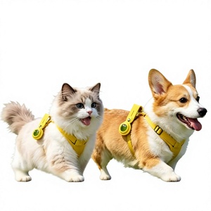 Collier pendentif en gel de silicone à l'<span class=keywords><strong>huile</strong></span> <span class=keywords><strong>essentielle</strong></span> anti-puces pour chiens et chats de petite et moyenne taille - Anti-moustiques et parasites externes - Product Image 1