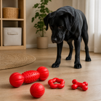 Jouet à mâcher pour chiot, nouvelle mode, durable, best-seller, pour la dentition et l'utilisation en extérieur, jeu interactif et nettoyage des dents