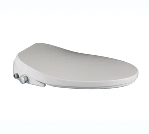 Low Price Wholesale Panel Operation Modern Remote Control Females Washing Smart Toilet Seat