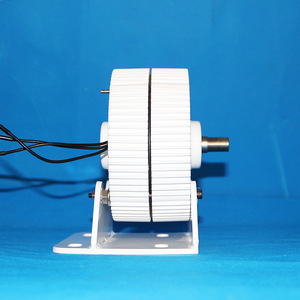 Générateur à aimant permanent 300W 12V 24V portable sans entretien pour usage domestique - Product Image 3