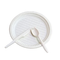Assiette jetable en amidon de maïs biodégradable et écologique, vente en gros d'usine, assiette ronde en amidon de maïs