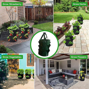 Sac de croissance réutilisable de 3 gallons respirant PE Strawberry Pot de plantes de jardin suspendu pour une <span class=keywords><strong>plantation</strong></span> pratique - Product Image 2