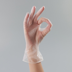 Food Service Disposable Vinyl Gloves 24CM Silicone-Free <b>Powder</b>-Free Non Sterile Clear Smooth <b>Texture</b> Customizable - Product Image 1