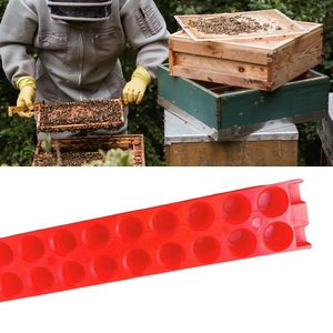 Outil d'élevage des reines JZBZ Cage à <span class=keywords><strong>reine</strong></span> en plastique État neuf Barre d'expédition pour outils de transport des reines - Product Image 5