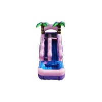 Glissière gonflable de videur de glissière sèche humide commerciale de PVC avec la glissière de parc aquatique de piscine