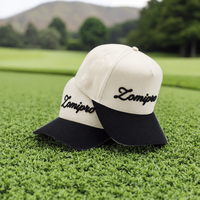 Gorra de Béisbol de 5 Paneles con Logotipo Personalizado, Gorra de Dos Tonos con Visera Curva, Gorras Deportivas Bordadas Lisas al por Mayor para Hombres, Golf y Actividades al Aire Libre
