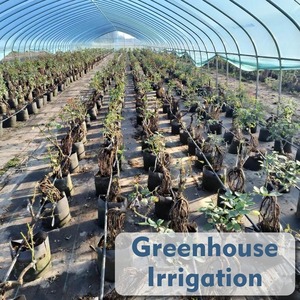 Fita de Gotejamento de Plástico PE de 16mm para Estufas, Mangueira de Irrigação Agrícola com Gotejador de 3L/H e Espaçamento de 16mm - Product Image 5