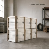 Module en fibre céramique blanc 3-5µm pour four de séchage, four de carbonisation, bloc d'isolation réfractaire, résistant à la chaleur 1260°C, revêtement