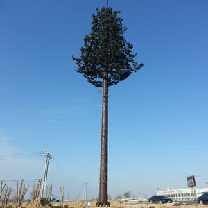 20m 30m 40m 50m 60m Promotion zum Jahresende Verzinkter Stahl Selbst tragender Tarnbaum Monopol turm 30 Jahre Lebensdauer - Product Image 4