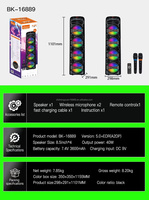 OEM ODM Enceinte Karaoké Portable 30W à Quatre Haut-parleurs de 8 Pouces, Couleurs RGB, avec Deux Microphones à Recharge Sans Fil, pour Événements en Plein Air et Réunions Familiales